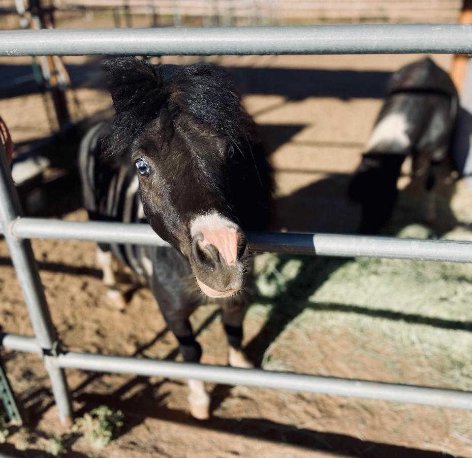 Rustic Farm Stay Temecula Eksteriør bilde